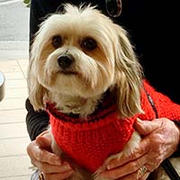rewardy_treats_leckerli_tester_trixi